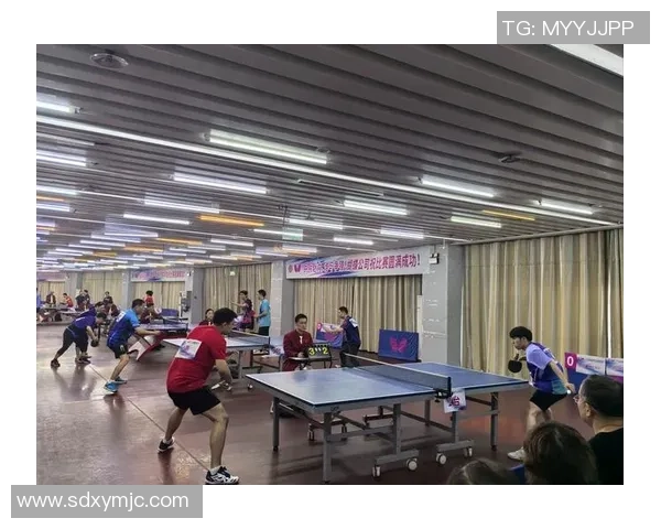 武汉乒乓球队实力分析与发展潜力探讨聚焦乒乓球运动的未来之路